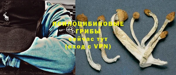 ешки Бронницы
