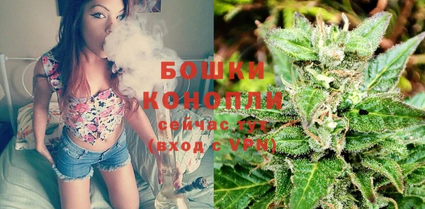 PSILOCYBIN Богданович