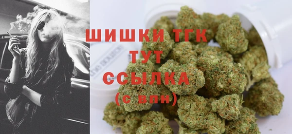 PSILOCYBIN Богданович