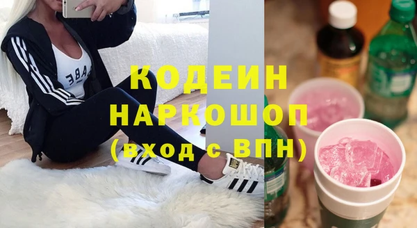 PSILOCYBIN Богданович