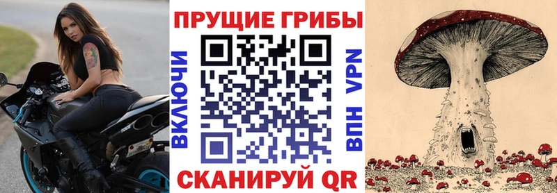 Псилоцибиновые грибы прущие грибы kraken зеркало Гремячинск дарнет шоп